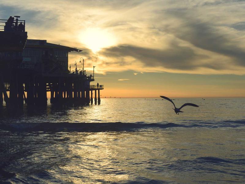 蝴蝶效应<br>uwsuuyl.cn 亚马逊蝴蝶扇翅